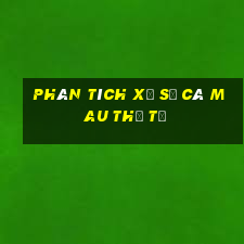 Phân tích xổ số Cà Mau thứ tư