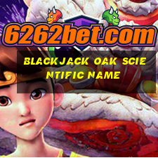 blackjack oak scientific name