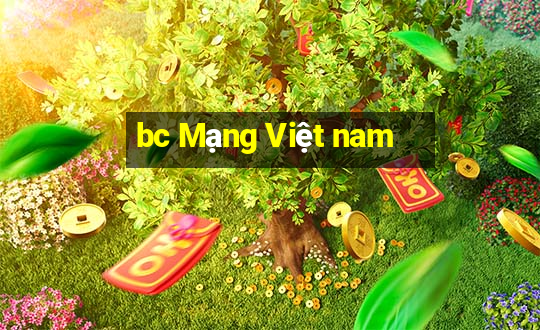 bc Mạng Việt nam