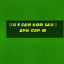 đầu 5 câm hôm sau đánh con gì