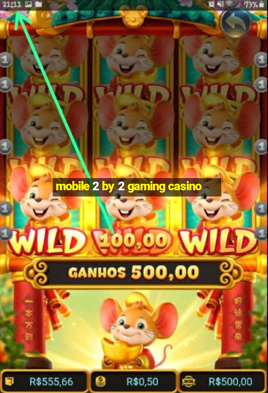 mobile 2 by 2 gaming casino