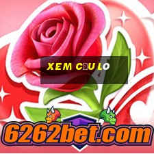 xem cầu lô