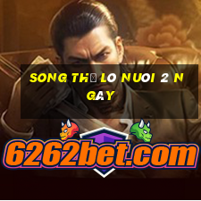 song thủ lô nuôi 2 ngày