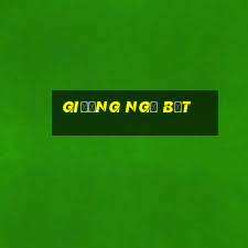 giường ngủ bệt