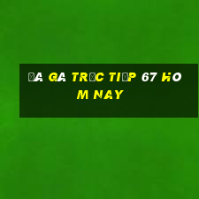 đá gà trực tiếp 67 hôm nay