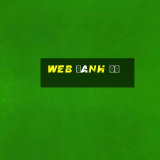 web đánh đề