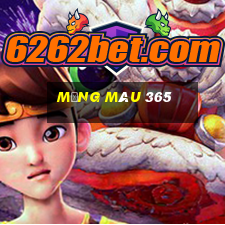 Mạng màu 365