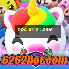 Tóc xổ số 2016