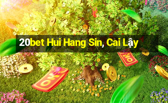 20bet Hui Hang Sin, Cai Lậy