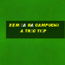 xem đá gà campuchia trực tiếp