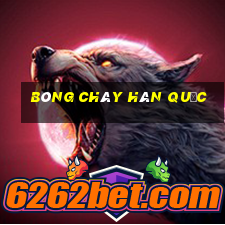 bóng chày hàn quốc