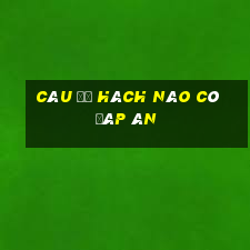 câu đố hách não có đáp án