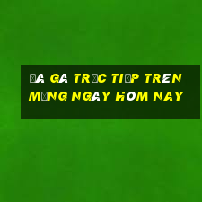 đá gà trực tiếp trên mạng ngày hôm nay