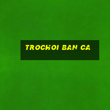 trochoi ban ca