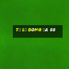 tỷ lệ bóng đá 88