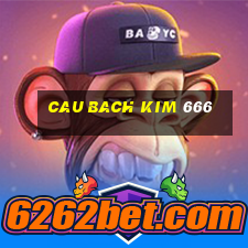 cau bach kim 666