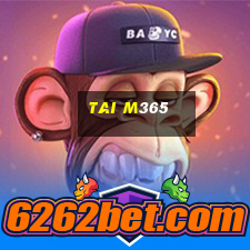 tai m365