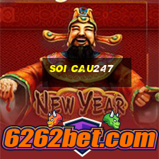 soi cau247