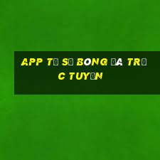 app tỷ số bóng đá trực tuyến