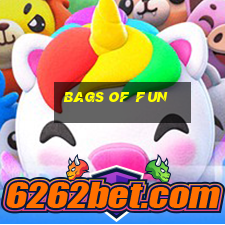 bags of fun