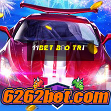 11bet bảo trí