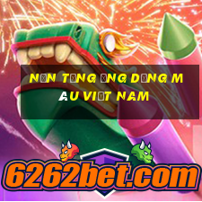 Nền tảng ứng dụng màu Việt nam