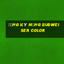 Đăng ký mạng Budweiser Color