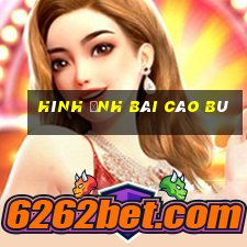 hình ảnh bài cào bù