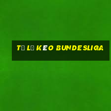 tỷ lệ kèo bundesliga