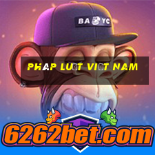 pháp luật việt nam