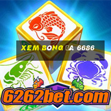 xem bóng đá 6686