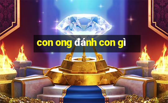 con ong đánh con gì