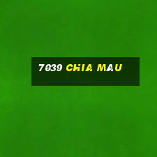 7039 chia màu