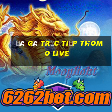 đá gà trực tiếp thomo live