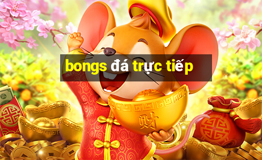 bongs đá trực tiếp