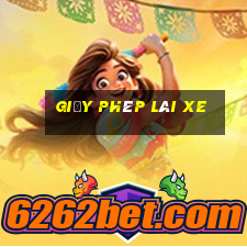 giấy phép lái xe