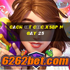 Cách đặt cược XSBP ngày 25