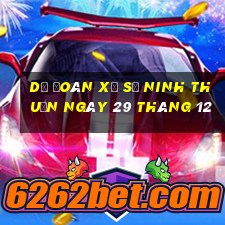 dự đoán xổ số ninh thuận ngày 29 tháng 12