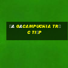 đá gà campuchia trực tiếp