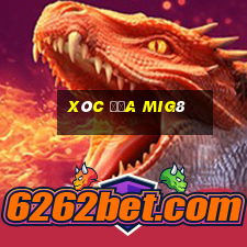 Xóc Đĩa Mig8