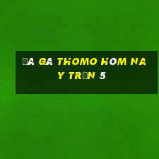 đá gà thomo hôm nay trận 5