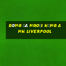 bóng đá ngoại hạng anh liverpool