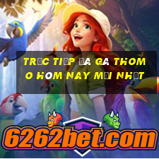 trực tiếp đá gà thomo hôm nay mới nhất