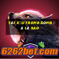 tài xỉu trong bóng đá là sao