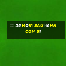 đề 30 hôm sau đánh con gì