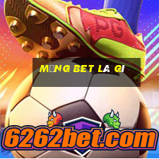 mảng bet là gì