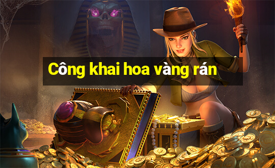 Công khai hoa vàng rán