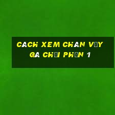 cách xem chân vảy gà chọi phần 1