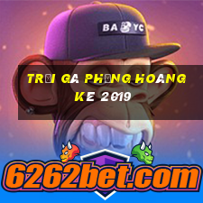 trại gà phụng hoàng kê 2019